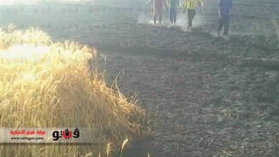 حريق يلتهم محصول فدانى قمح بسوهاج