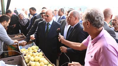 البطاطس بـ 6 جنيهات والطماطم بـ 5 في منافذ محافظة القاهرة