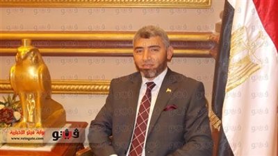 ياسر حبيب: نسبة حضور انتخابات «نادي المحاسبات» بلغت 60%