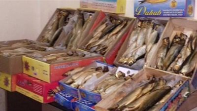 ضبط ربع طن رنجة فاسدة في كفر الزيات