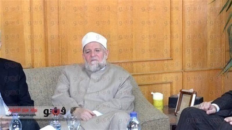 الدكتور طلعت عفيفى