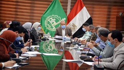 محافظ القليوبية يؤكد ضرورة تنفيذ مشروعات الخطة الاستثمارية وفقا للجداول الزمنية