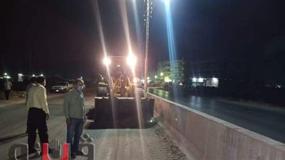 حملة نظافة ليلية بقرى المنصورة | صور