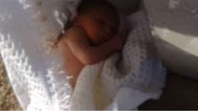 تفاصيل عثور مزارع على طفلة حديثة الولادة في الدقهلية