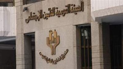 بالتفاصيل.. الفئات المستفيدة من المعاش الإضافي في قانون التأمينات