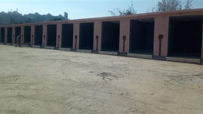 القاهرة: نقل 