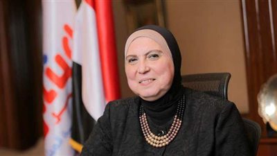 وزيرة الصناعة: إعداد دراسة ميدانية لـ1500 قرية ضمن مبادرة 