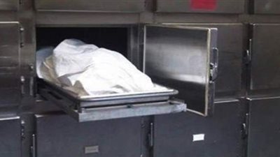 خلاف على إيراد عربة الكبدة.. التفاصيل الكاملة لمقتل عامل على يد شريكه بالسلام