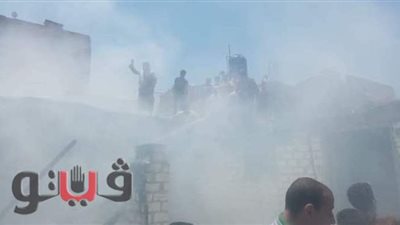 حريق داخل منزل في المحلة الكبري| صور