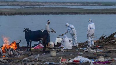 دلهي الهندية تسجل أدنى حصيلة إصابات بكورونا