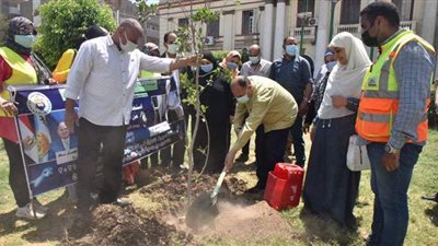 محافظ أسيوط يغرس بعض الأشجار ضمن فعاليات يوم البيئة العالمي | فيديو