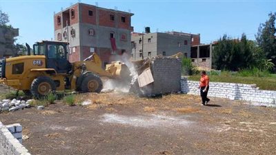 حملات مكثفة لإزالة التعديات على الأراضي الزراعية وأملاك الدولة بالدقهلية | صور