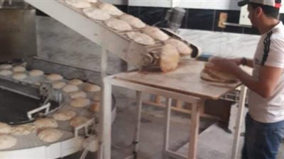 تحرير 1319 محضر تمويني بحملات على الاسواق والمخابز بالإسكندرية