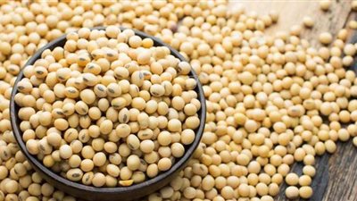 7 فوائد مذهلة لتناول فول الصويا بانتظام