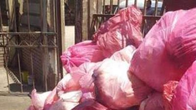 حرق 180 طنا و 25 كيلو جراما من النفايات الخطرة بالبحيرة