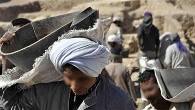 طريقة تسجيل بيانات العمالة غير المنتظمة على موقع القوى العاملة