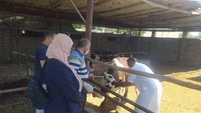 حملات مسح شامل ومجاني لأمراض الحيوان 