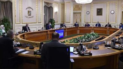 الوزراء: احتياطي الأرز يكفي 7 أشهر والقمح 6 والسكر 5 والفول 120 يومًا