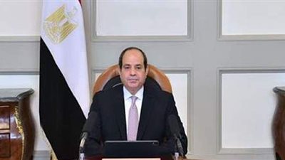 السيسي: نتطلع لاستمرار التعاون مع إسبانيا في كافة المجالات