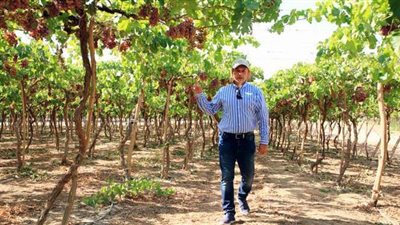 الريف المصري تستعرض إمكانات منطقة غرب المنيا في فيلم تسجيلي| فيديو