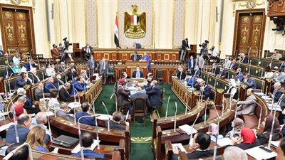 نائب يطالب بنسبة من مستحضرات التجميل لتمويل الطوارئ الطبية.. وجبالي: 