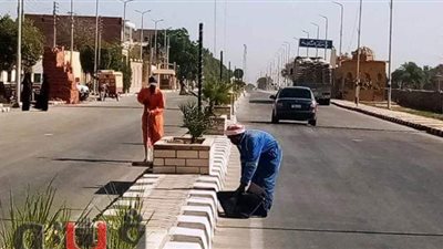استمرار حملات النظافة والإشغالات وضبط الأسواق فى أسوان | صور