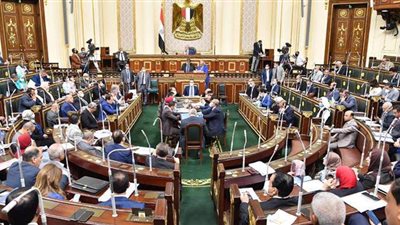 بقيمة 50 مليون دولار.. البرلمان يوافق على قرض لدعم المشروعات الصغيرة