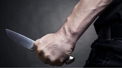 الاستماع لأقوال الشهود في واقعة قتل فلاح لشقيقه والشروع في قتل والدته بالصف