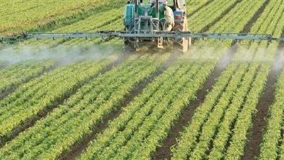 السيد القصير: نستهدف زراعة 250 ألف بمشروع الدلتا الجديدة قبل نهاية العام