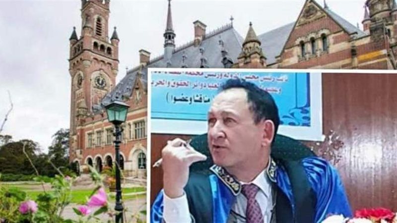 المستشار الدكتور