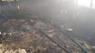 نفوق 36 رأس ماشية وماعز في حريق مزارع نخيل بالوادى الجديد