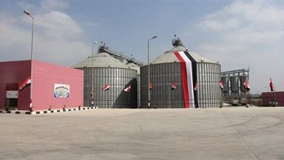 صوامع الجيزة تستقبل 183 ألف طن قمح | صور