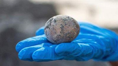 تعود للعصر الإسلامي .. العثور على بيضة عمرها ألف عام في إسرائيل