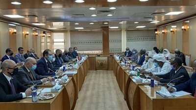 تحذير مصري سوداني شديد اللهجة حول سد النهضة: المفاوضات وصلت لطريق مسدود