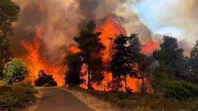 شاهد لحظة اشتعال الحرائق الضخمة في إسرائيل | فيديو