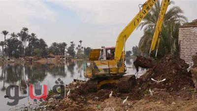 إزالة 494 حالة تعد على 196 ألفا و761 مترًا بـ