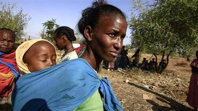 الأمم المتحدة تحذر من تفاقم المجاعة شمالي إثيوبيا