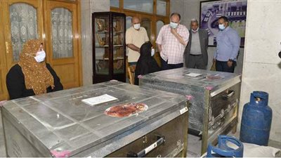 توزيع ماكينات خياطة وأفران منزلية للسيدات المعيلات والأولى بالرعاية في أسيوط