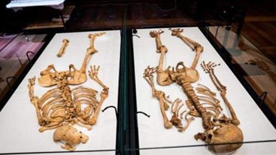 متحف دنماركي يلم شمل هيكلين عظميين لمحاربين من الفايكنج