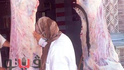 بيطري الشرقية يضبط 3 أطنان لحوم فاسدة ويحرر32 محضرا خلال أسبوع