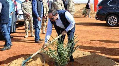 إنجازات قطاع الزراعة في 7 سنوات بعهد الرئيس السيسي| فيديو