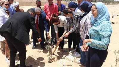 نائب محافظ الجيزة تزرع 1100 شجرة مثمرة بأطفيح | صور