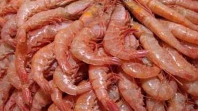 ضبط 2.5 طن لحوم وجمبري داخل مصنع لتجهيز الوجبات الجاهزة بالقاهرة