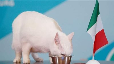 يورو 2020.. «القط أخيل» يتوقع من الفائز في مباراة إيطاليا وتركيا