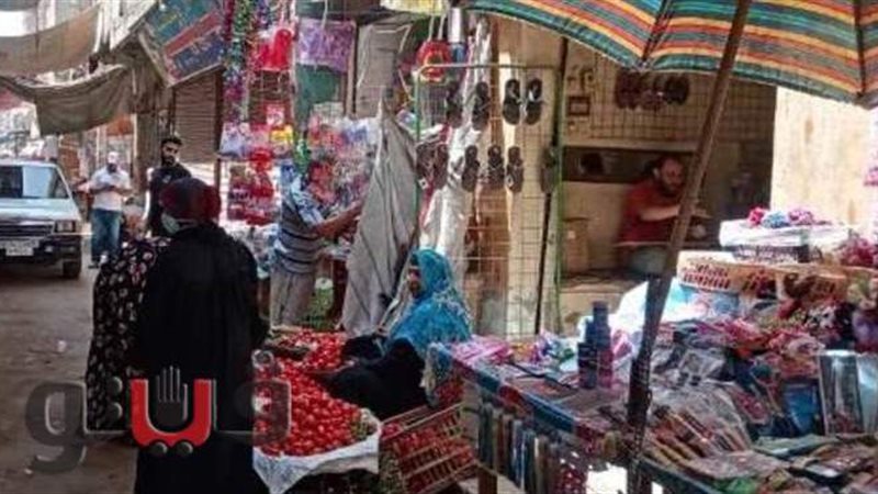 حملات نظافة وتطهير