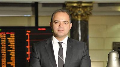 محمد فريد: التجارة البينية الأفريقية في الأوراق المالية تتطلب تكاملا بين البورصات