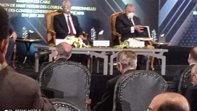 نائب رئيس المحكمة الدستورية: مصر قبلة العدل والأمن والمحبة والسلام