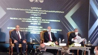 رئيس المحكمة الدستورية: نشكر السيسي والقوات المسلحة على الدعم المستمر