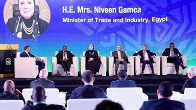 وزيرة الصناعة: حريصون على تحقيق التكامل الاقتصادي بين أسواق الدول الإفريقية