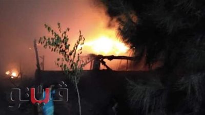 السيطرة على حريق مزرعة القرشية للثروة الحيوانية بالغربية| صور